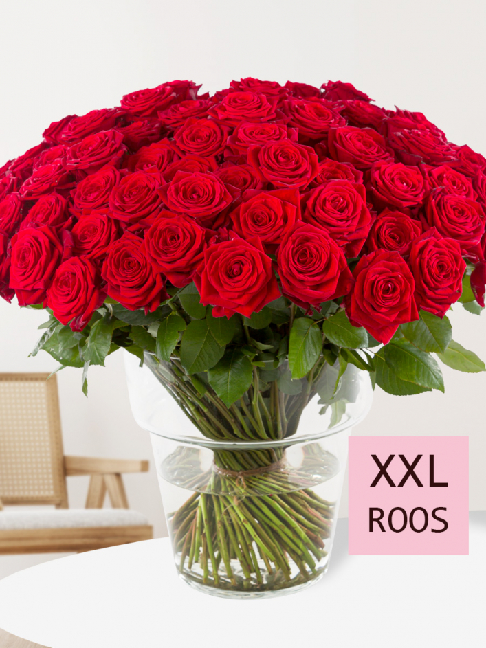 Interpunctie keten Regulatie Boeket 100 rode rozen - Red Naomi - Sameday levering mogelijk