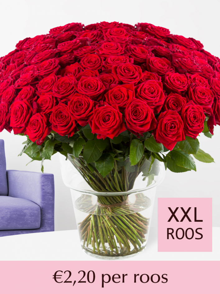 logo spiegel Patch 100 tot en met 499 rode rozen | Surprose.nl