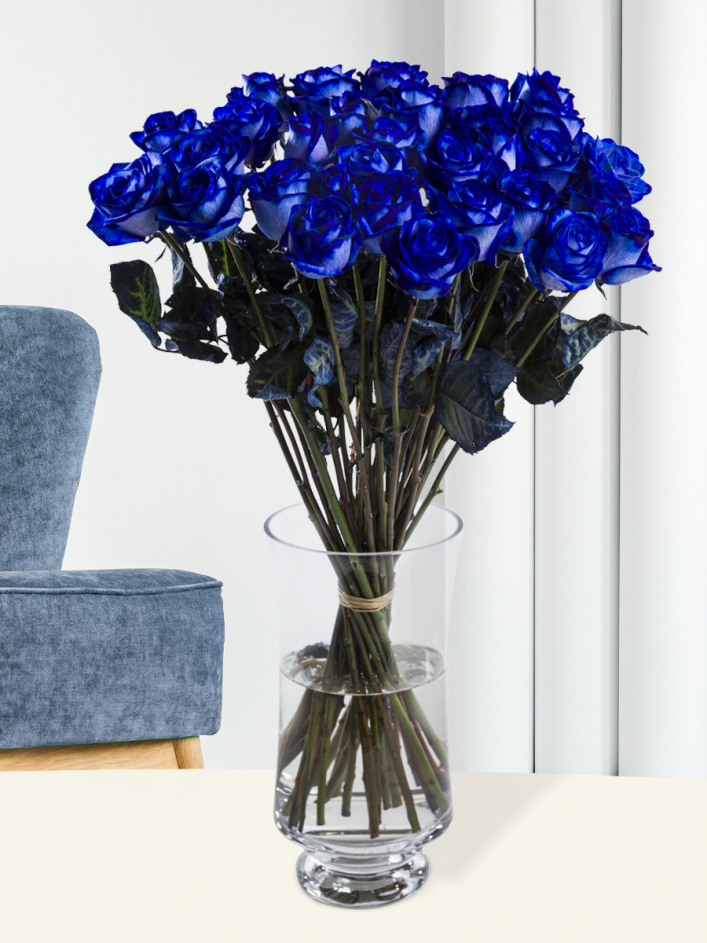 interval Schuur Klem 30 blauwe rozen