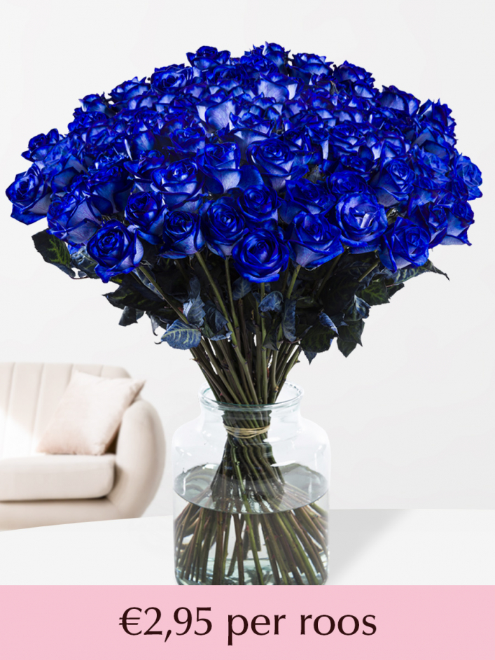 Doe mijn best Ontwaken Gelijkenis 100 t/m 500 blauwe rozen | Blauwe rozen | SURPROSE