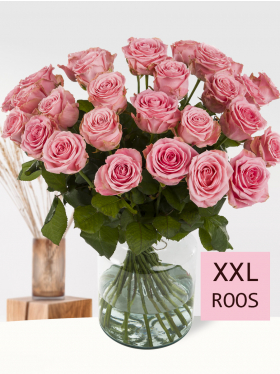30 roze rozen XXL