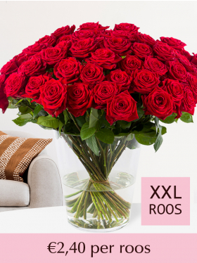 tot en met 499 rode rozen | Surprose.nl