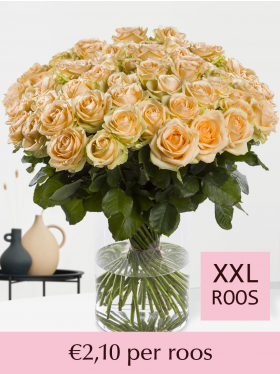 Kies je aantal zalmkleurige rozen - 100 t/m 499