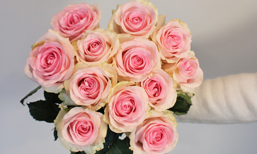 Betekenis roze rozen