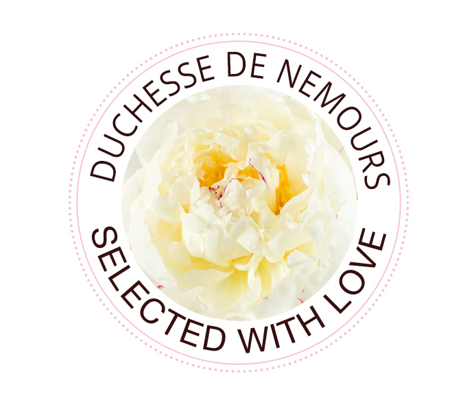 Duchesse de Nemours pioenroos