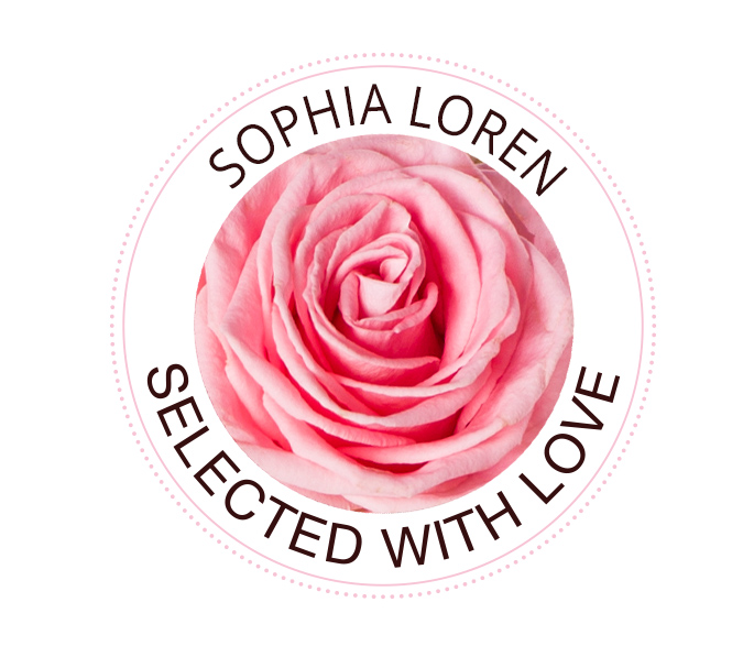 De Sophia Loren roos